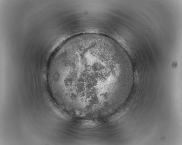 X0000089970347200707202015