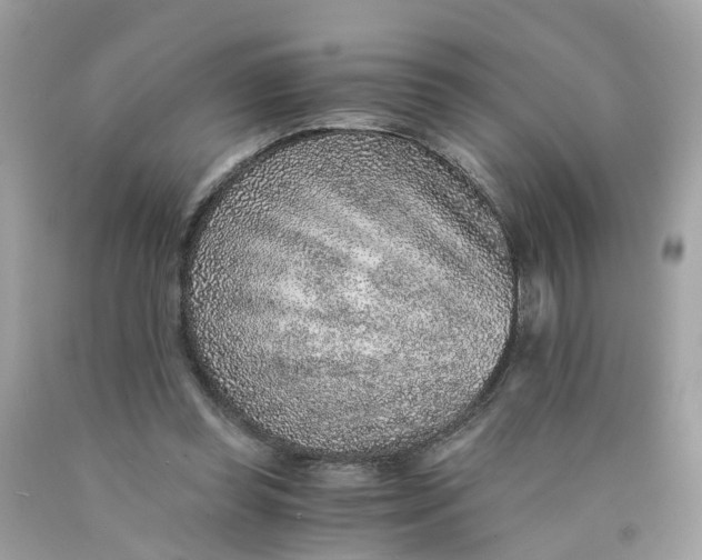 X0000089970349200707202015