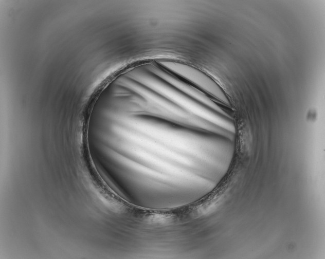 X0000089970350200707202015