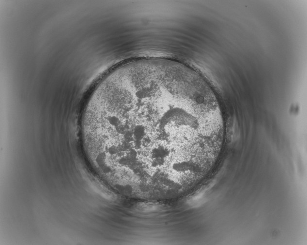 X0000089970351200707202015