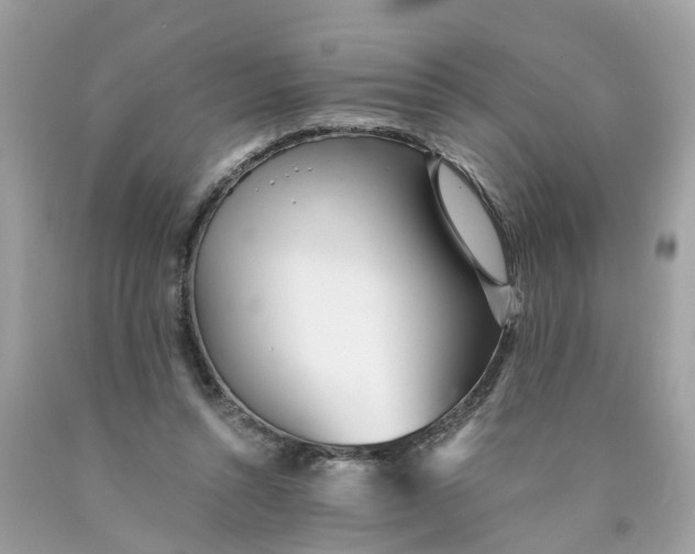 X0000089970352200707202015