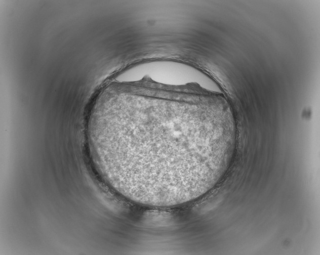 X0000089970354200707202015