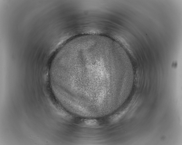 X0000089970355200707202015