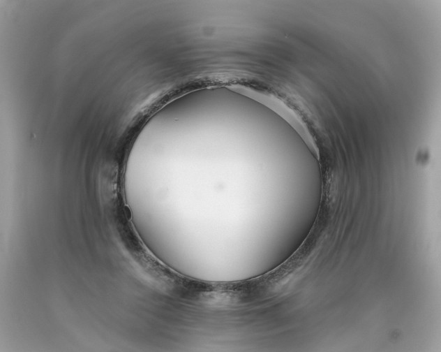 X0000089970356200707202015