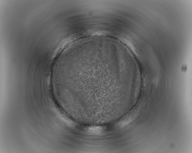 X0000089970357200707202015