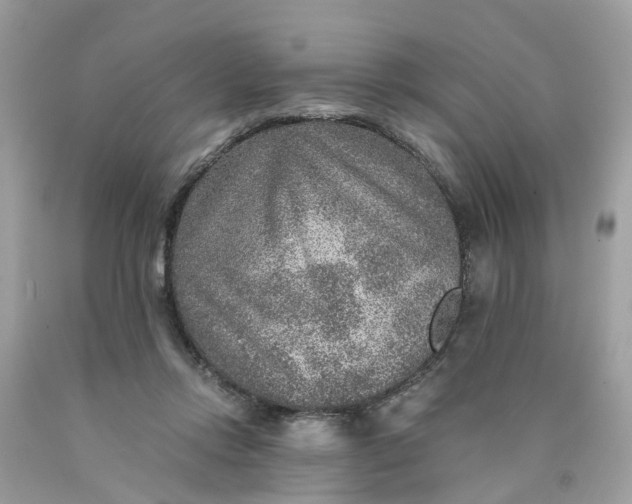 X0000089970358200707202016