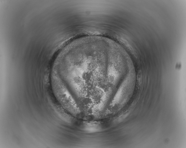 X0000089970359200707202016