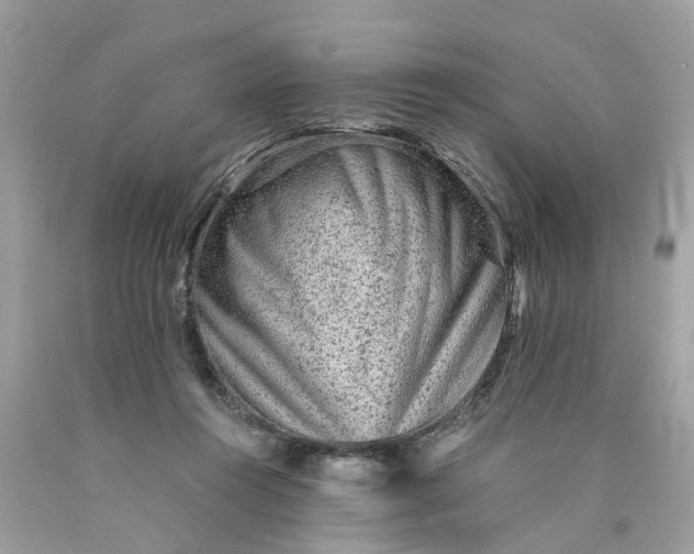 X0000089970360200707202016