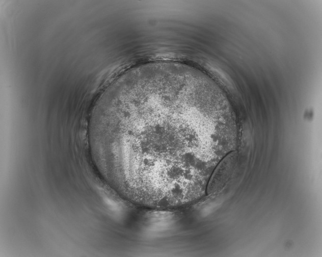 X0000089970361200707202016