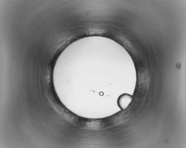 X0000089970362200707202016