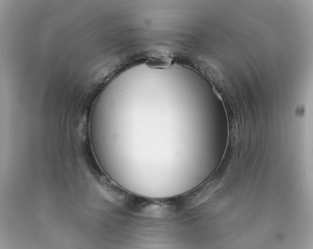 X0000089970364200707202016