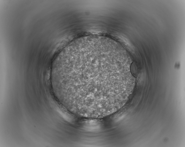 X0000089970365200707202016