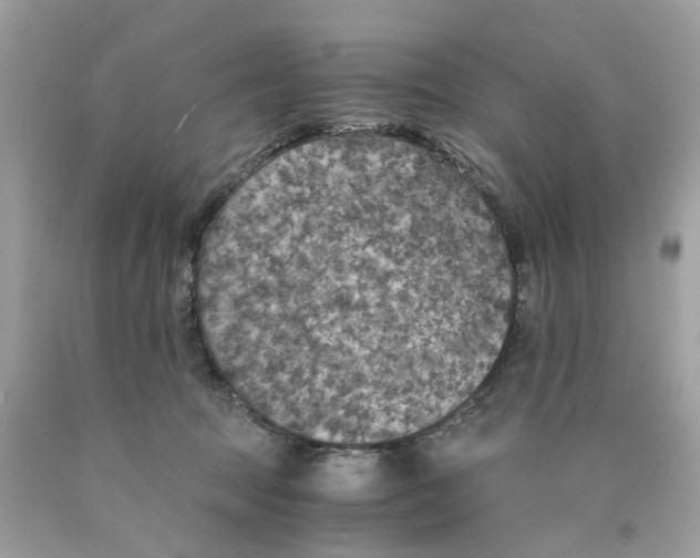 X0000089970369200707202016