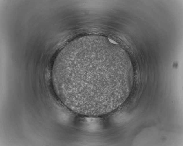 X0000089970371200707202016