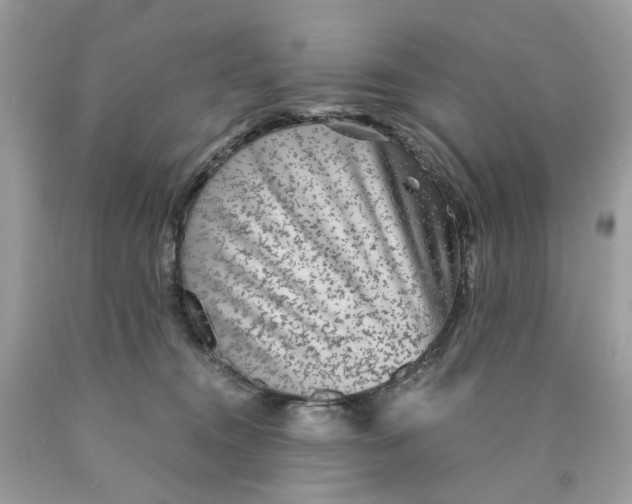 X0000089970372200707202016