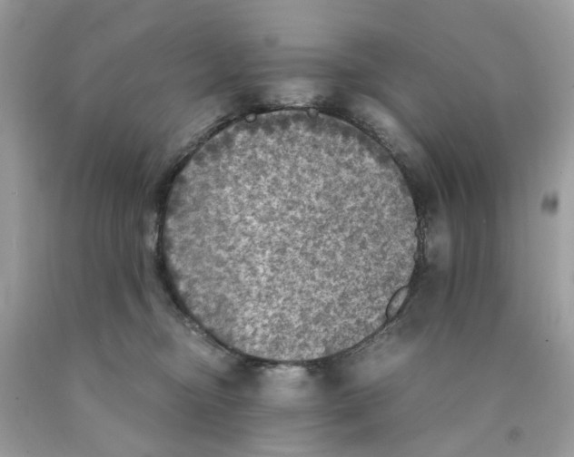 X0000089970374200707202016