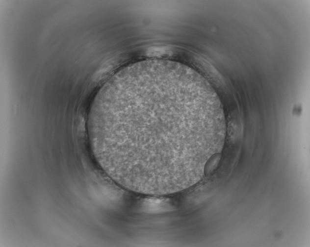 X0000089970375200707202016