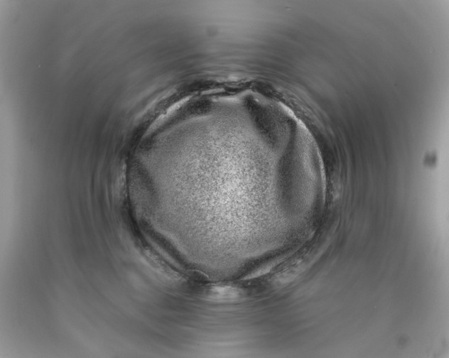 X0000089970376200707202016