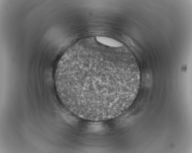 X0000089970377200707202016