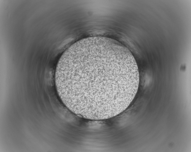 X0000089970378200707202016