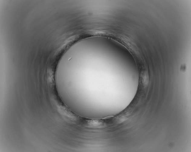 X0000089970380200707202016