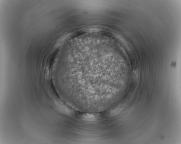 X0000089970381200707202016