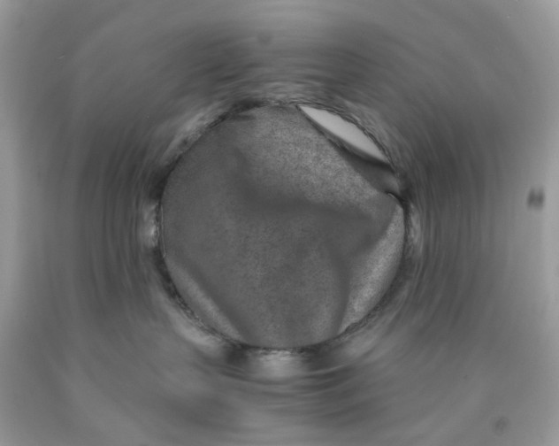 X0000089970383200707202016