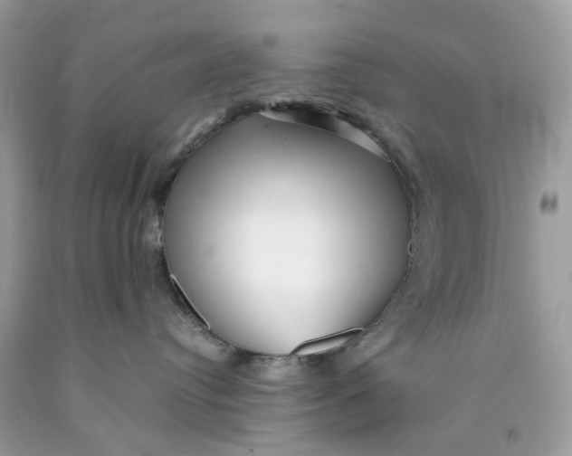 X0000089970384200707202016