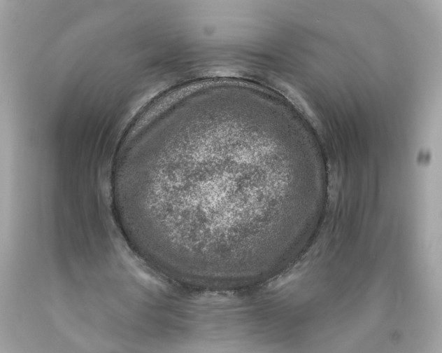 X0000089970386200707202015