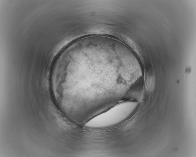 X0000089970387200707202015