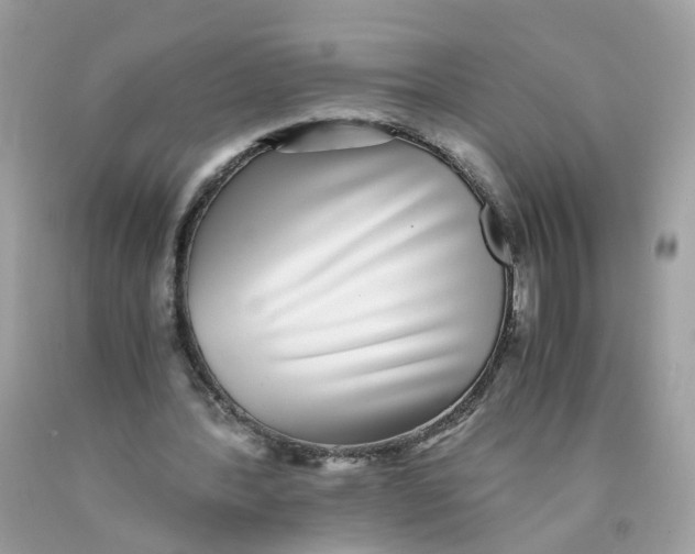 X0000089970388200707202015