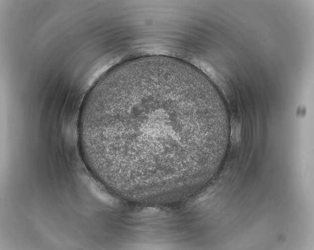 X0000089970390200707202015