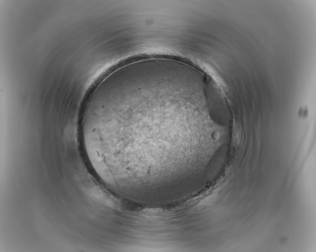 X0000089970391200707202015