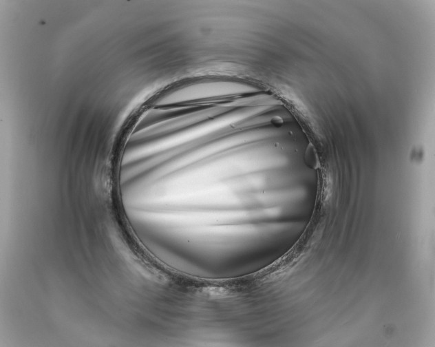 X0000089970392200707202015