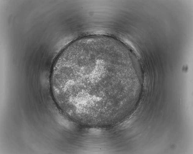 X0000089970394200707202015