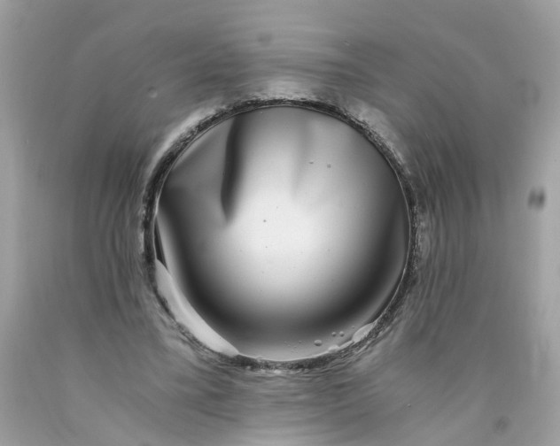 X0000089970395200707202015