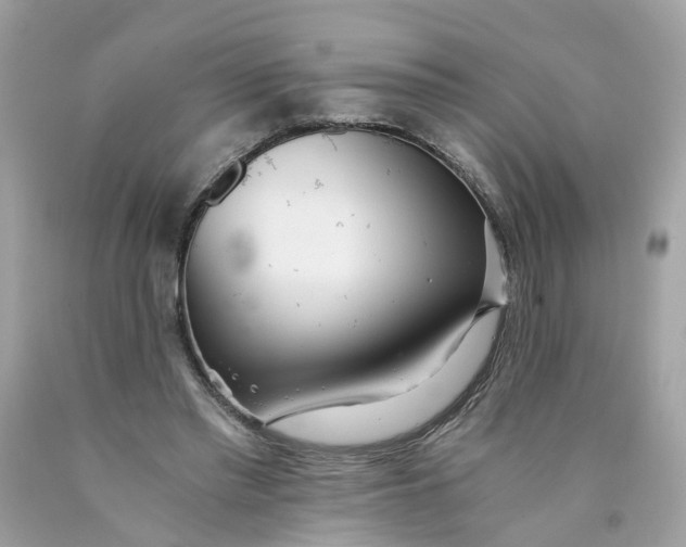 X0000089970397200707202015