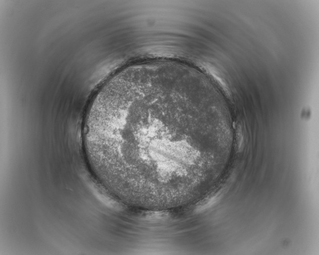 X0000089970398200707202015