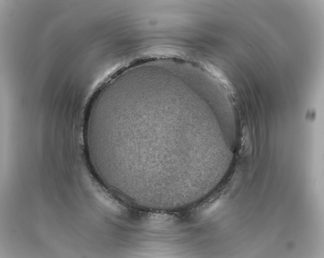 X0000089970399200707202015