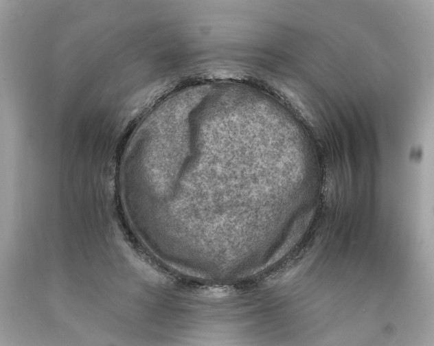 X0000089970402200707202015