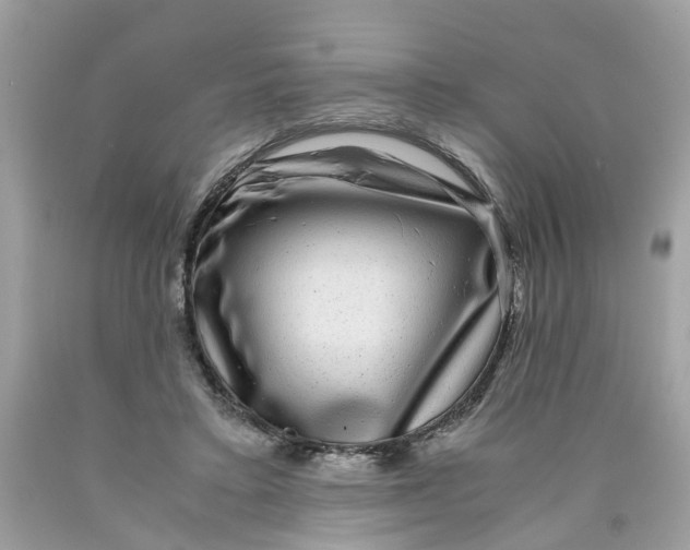 X0000089970403200707202015