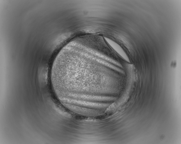 X0000089970404200707202015