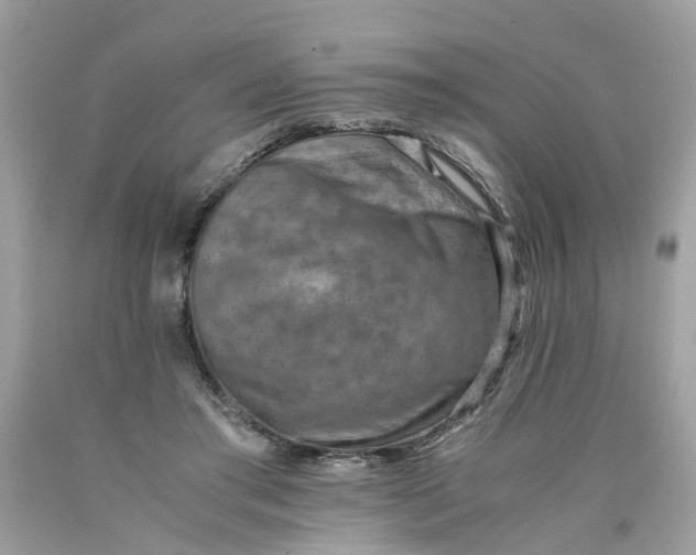 X0000089970405200707202015