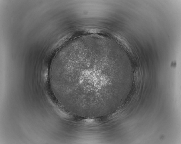 X0000089970406200707202015