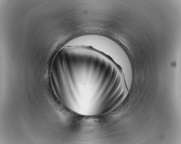 X0000089970407200707202015