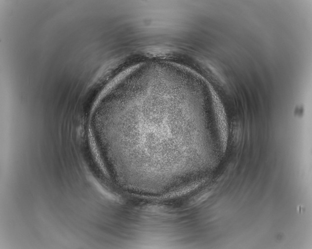 X0000089970408200707202015