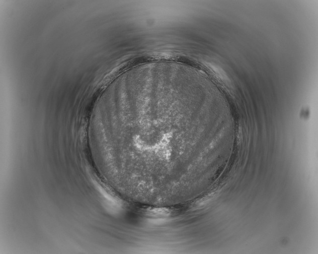 X0000089970409200707202015