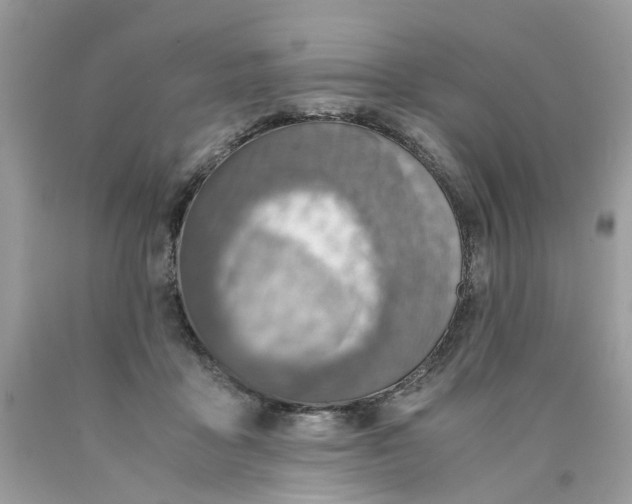 X0000089970411200707202015