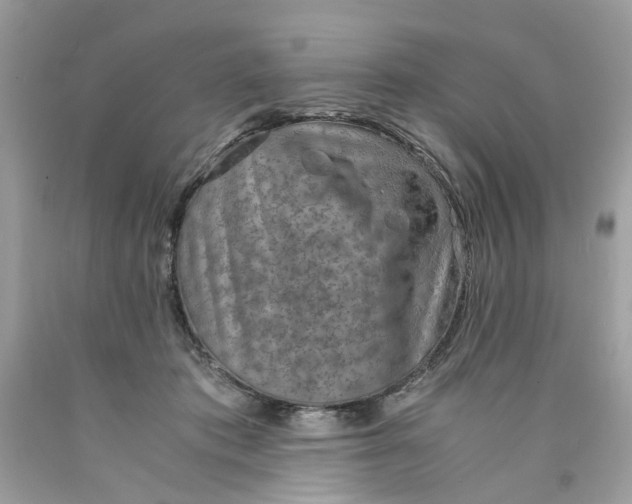 X0000089970413200707202015