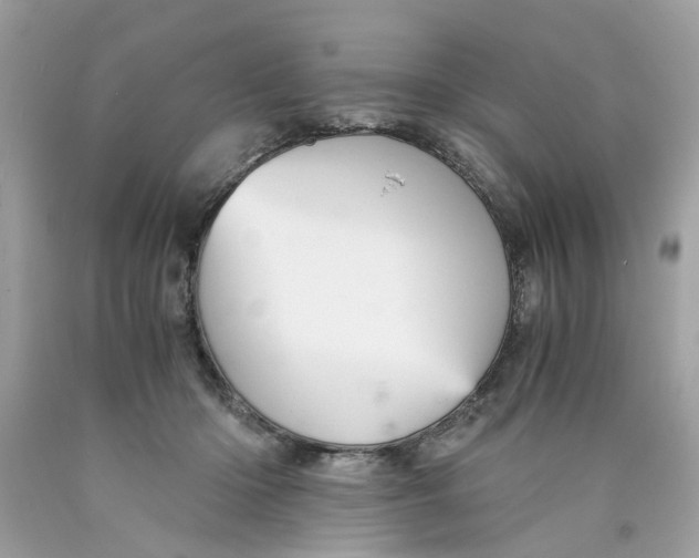 X0000089970414200707202015